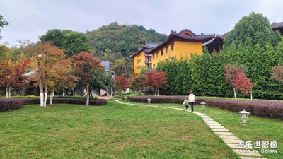 【多彩生活】+秋日小景