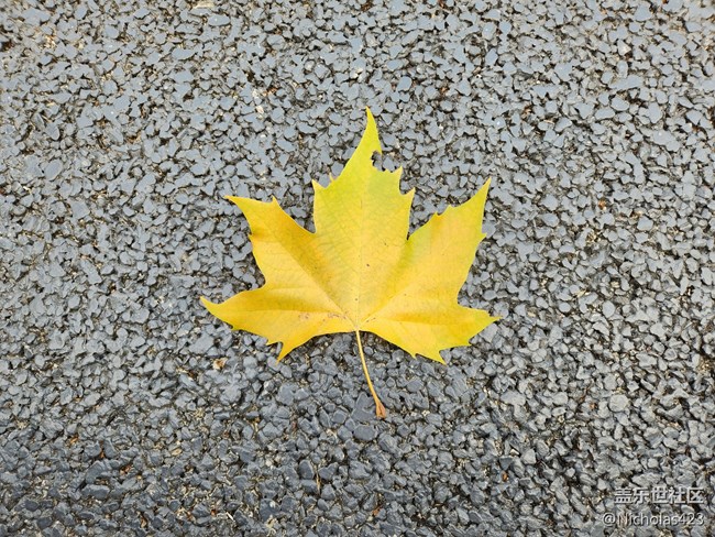 大家看看拍照怎么樣？