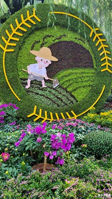 趵突泉43屆菊展-6