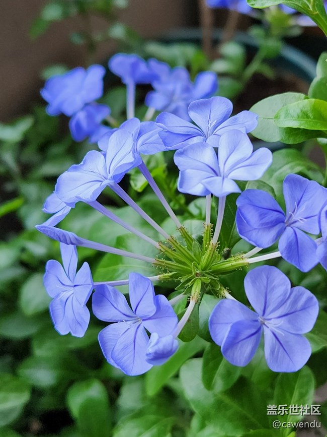 【美之間】長焦真的很好用