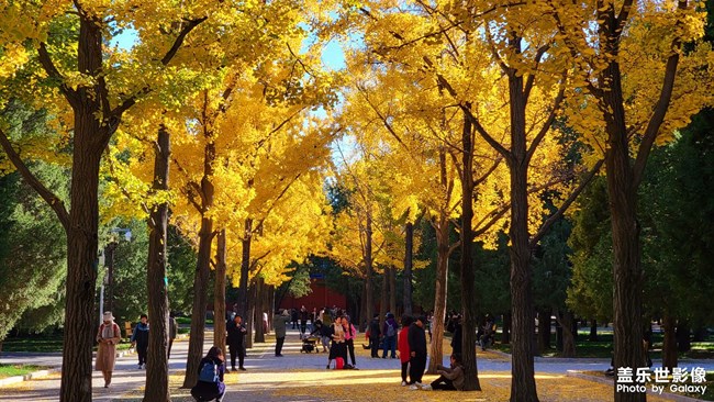 《每周星鮮事》 第125期: