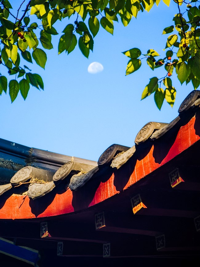 《每周星鮮事》 第125期: