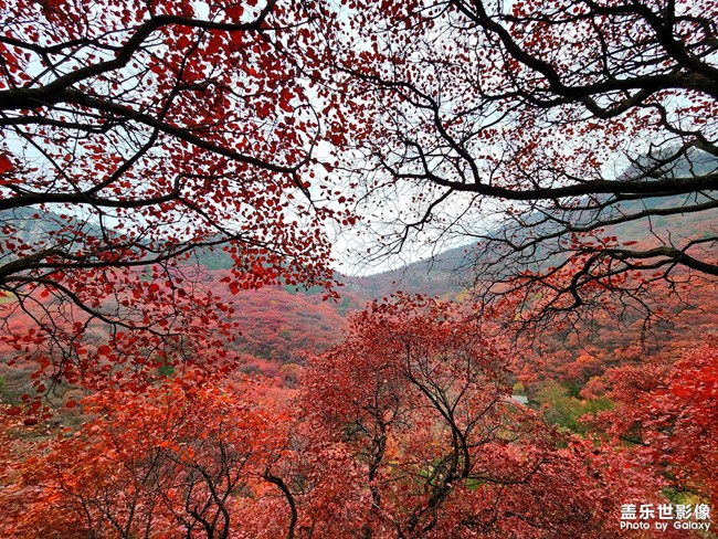 《每周星鮮事》 第125期: