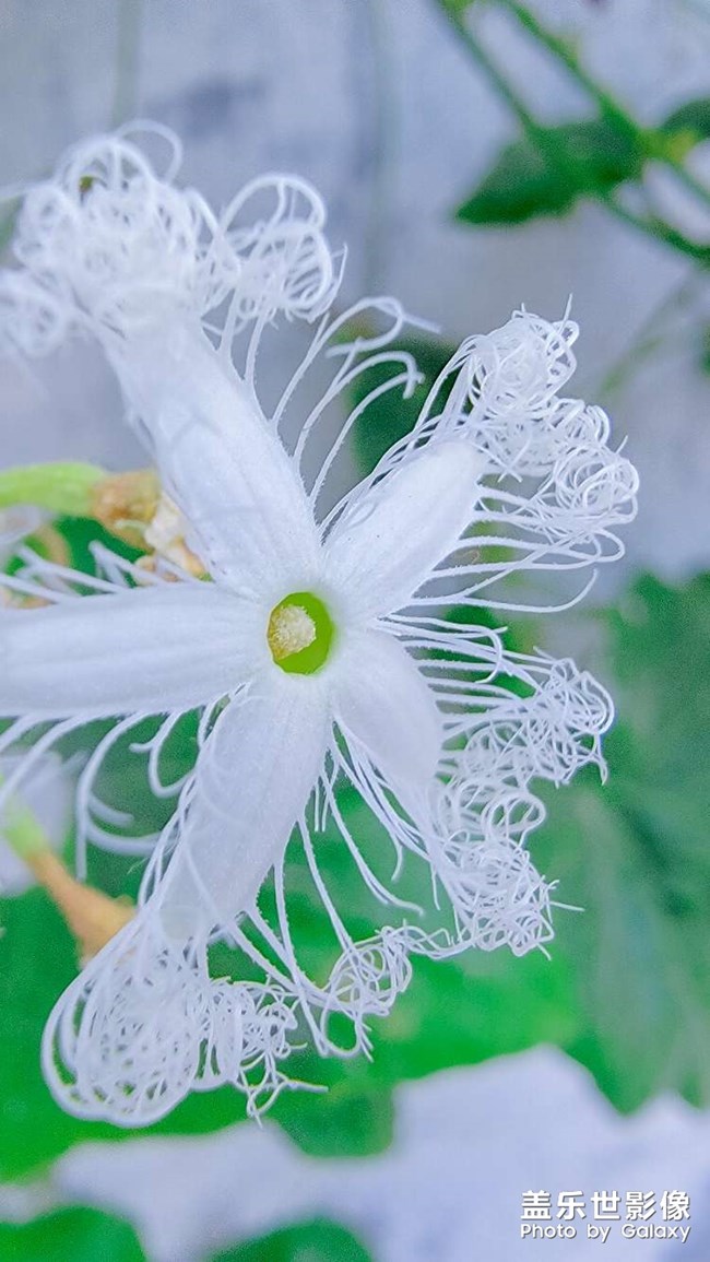 《每周星鮮事》 第125期: