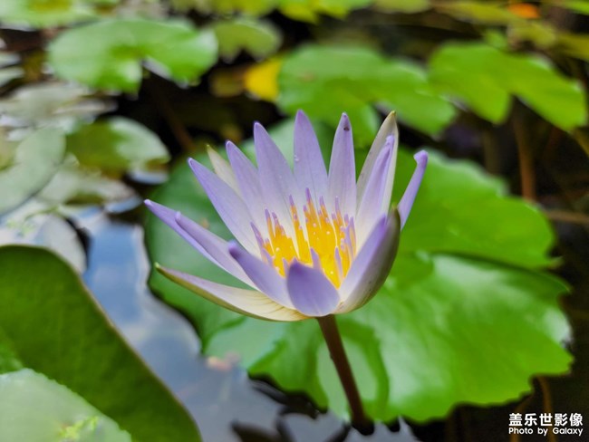 《每周星鮮事》 第125期: