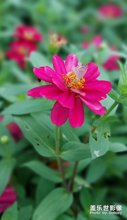 《每周星鮮事》 第125期: