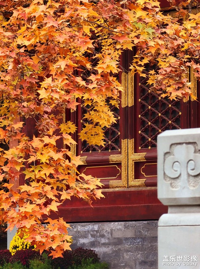 《每周星鮮事》 第125期: