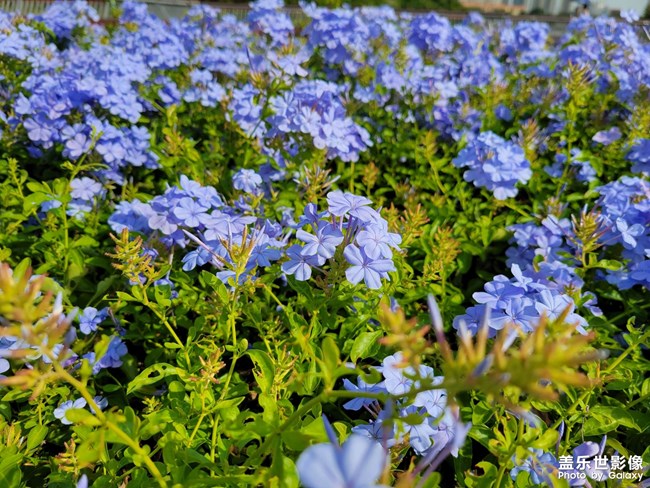 《每周星鮮事》 第125期: