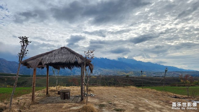 《每周星鮮事》 第125期: