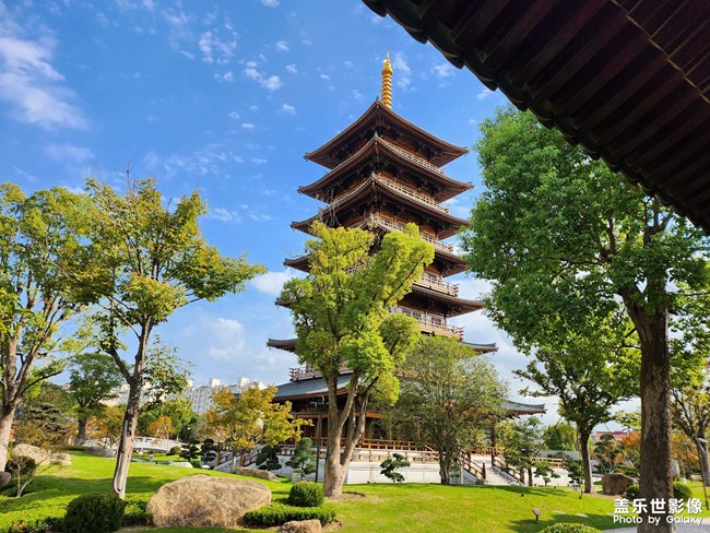 《每周星鮮事》 第125期: