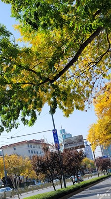 趵突泉門口隨拍