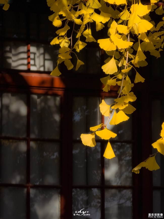 《每周星鮮事》 第125期: