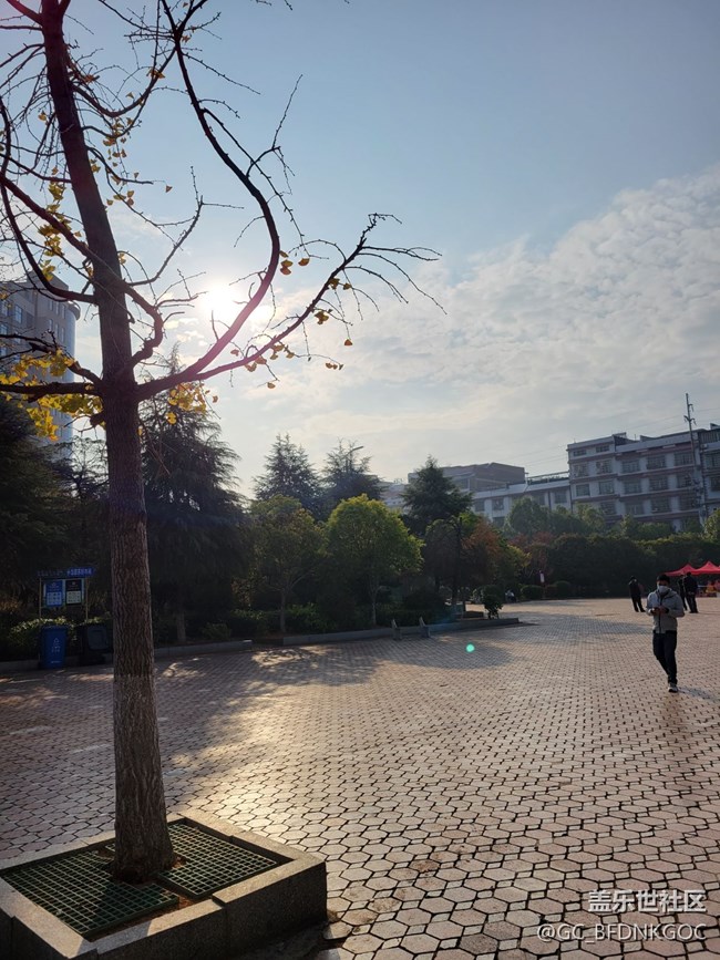 三星工程師們，對(duì)著太陽(yáng)光拍照，會(huì)有個(gè)綠點(diǎn)，這個(gè)怎么破？