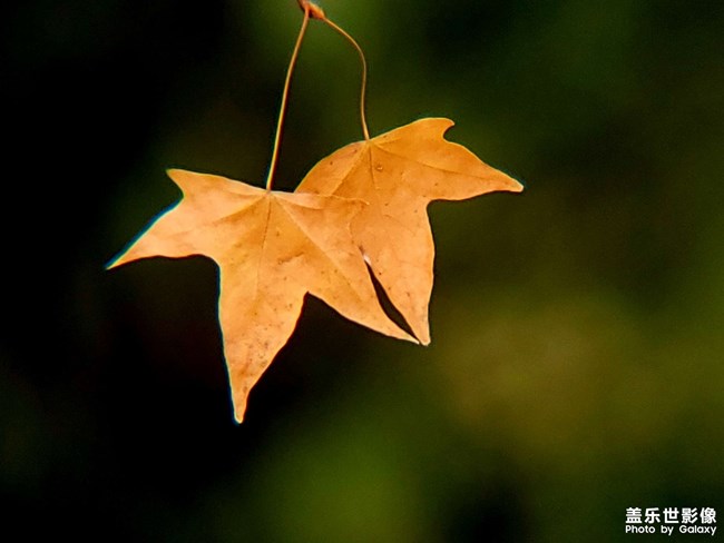 《每周星鮮事》 第125期: