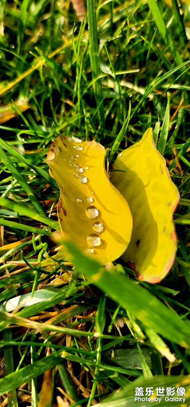 《每周星鮮事》 第125期: