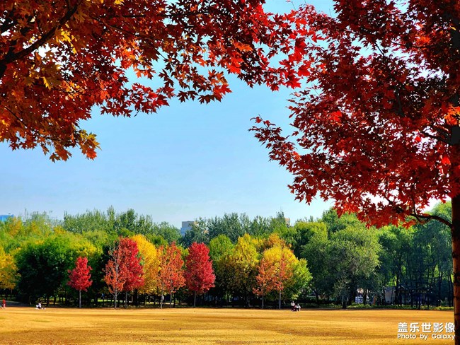 《每周星鮮事》 第125期: