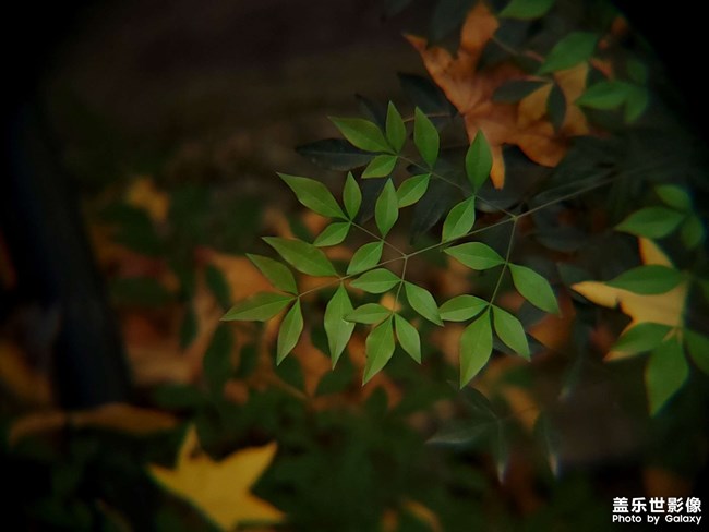 《每周星鮮事》 第125期: