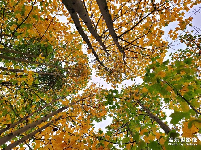 《每周星鮮事》 第125期: