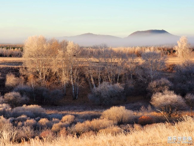 《每周星鮮事》 第125期: