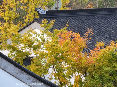 Galaxy S22Ultra   秋染園林