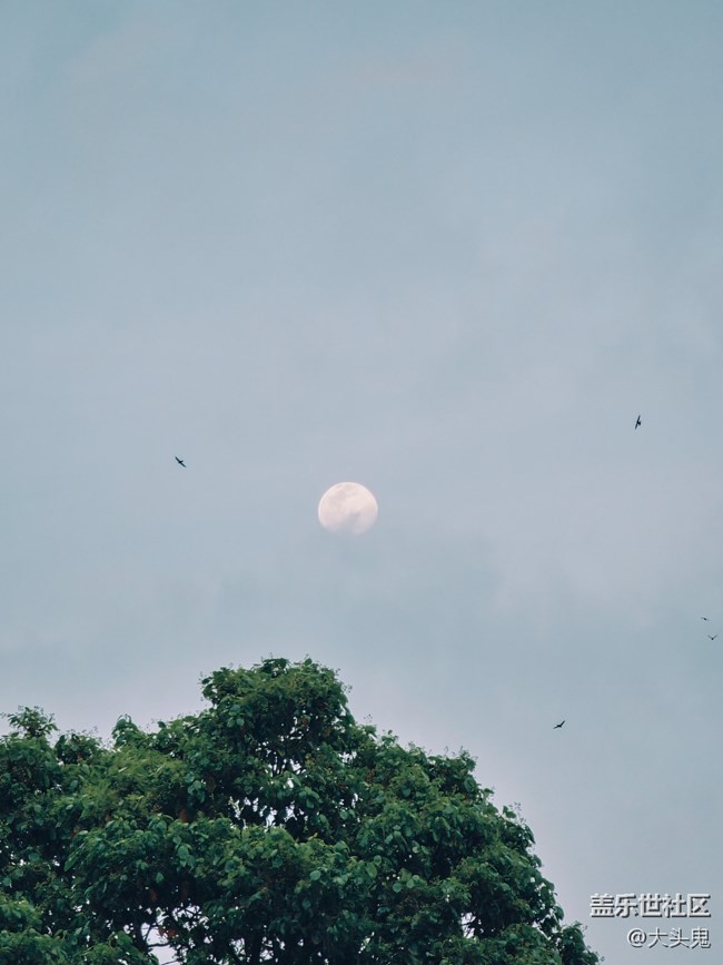 【美之間】山水間