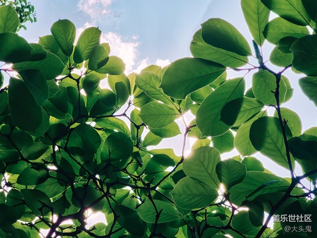 【美之間】山水間