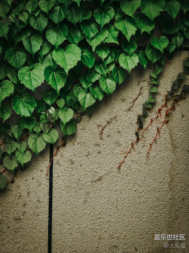 【美之間】山水間