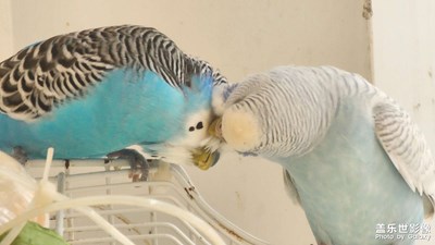 【秋去冬來】+?秋？