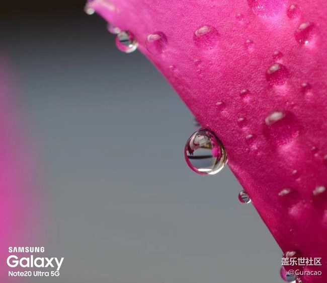 【微距里的景色】雨后的新嫩