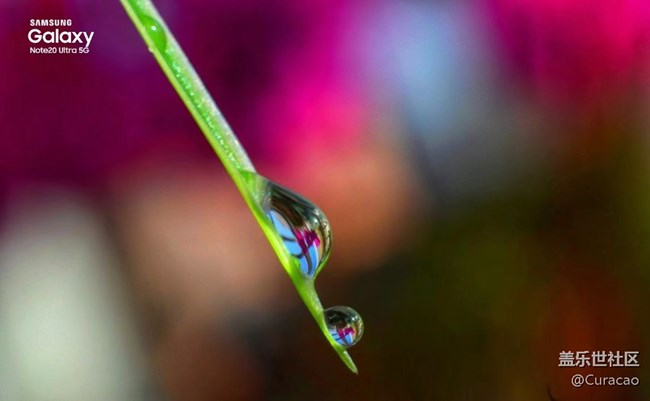 【微距里的景色】雨后的新嫩