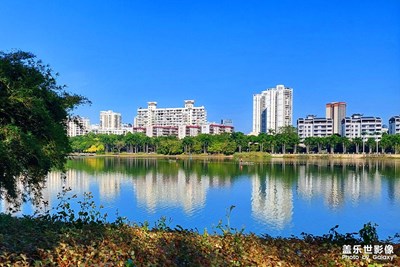 【秋去冬來】漫步隨拍