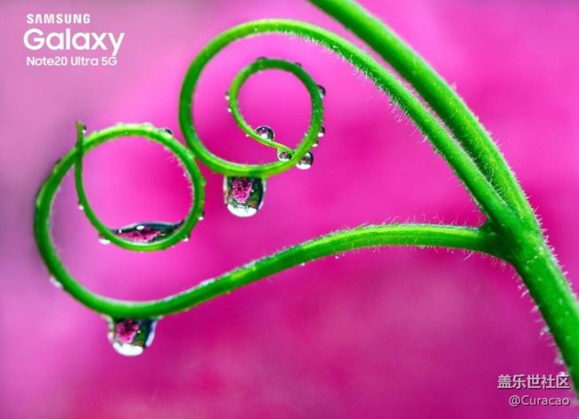 【微距里的景色】雨后的新嫩