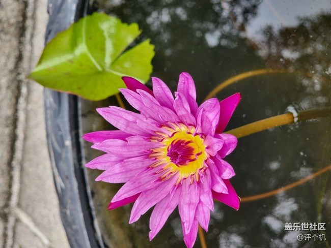 三星S22Ultra三倍光學(xué)人像模式