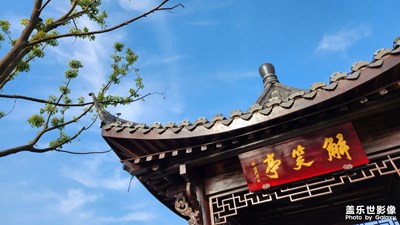 三十度的杭州秋天