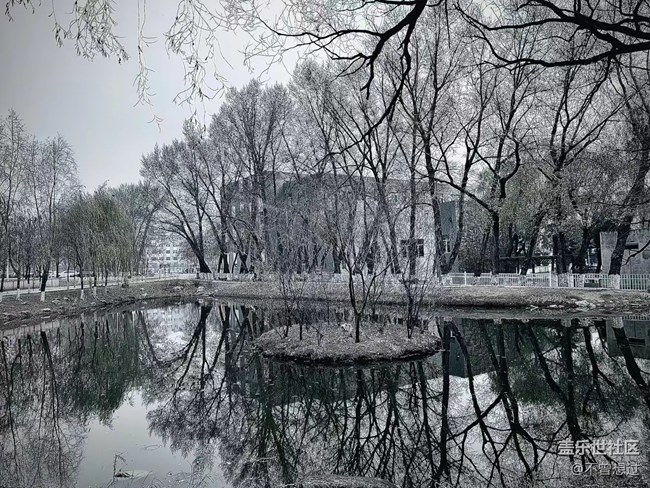 【我要當(dāng)錦鯉】下雪