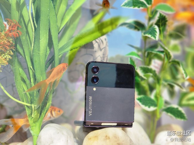 三星Galaxy Z Flip4 體驗(yàn)之旅-廈門(mén)站