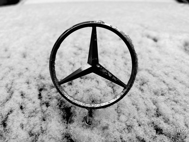 【我要當(dāng)錦鯉】下雪