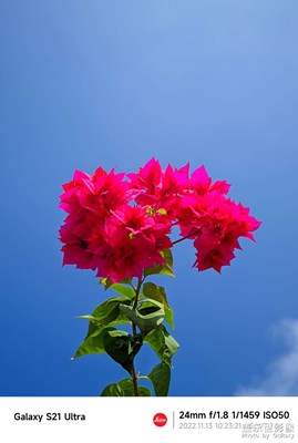 【秋去冬來(lái)】+暖冬