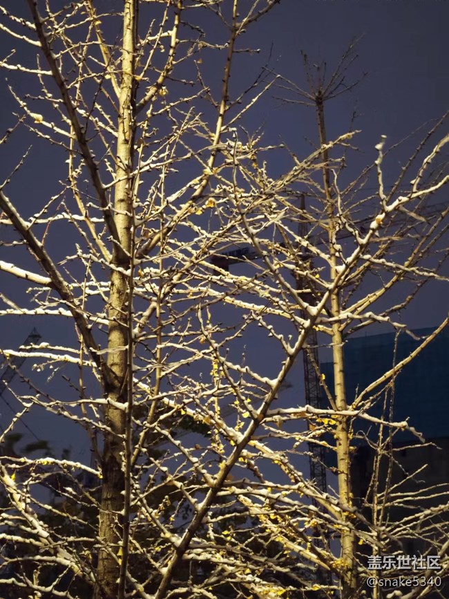 【凌冬將至】+2022年的第一場雪