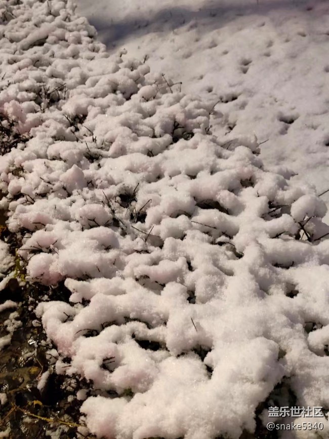 【凌冬將至】+2022年的第一場雪