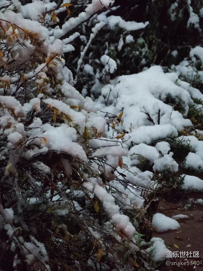 【凌冬將至】+2022年的第一場雪