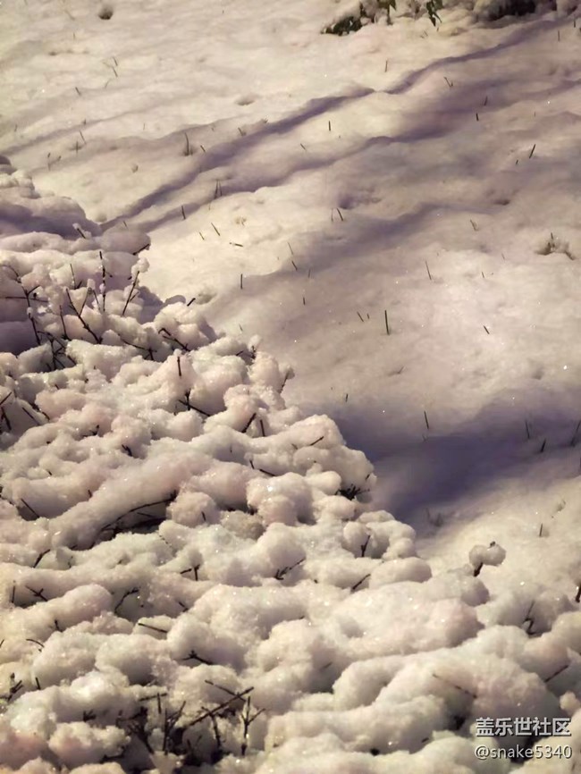 【凌冬將至】+2022年的第一場雪