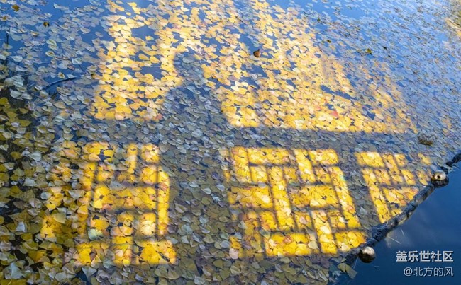 【晚秋】----不一樣的風景