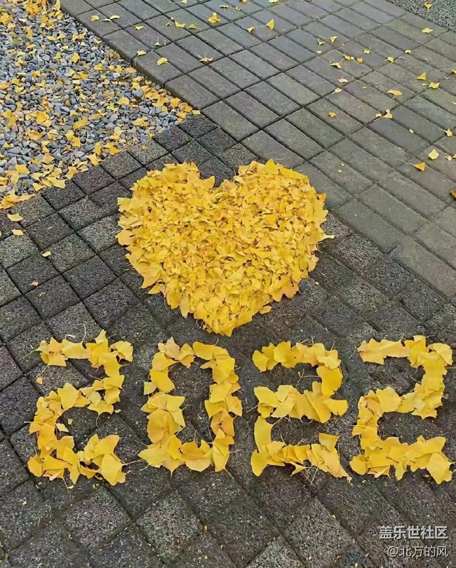 【晚秋】----不一樣的風景