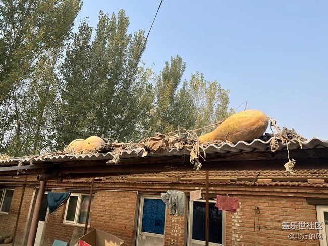 【晚秋】----不一樣的風景