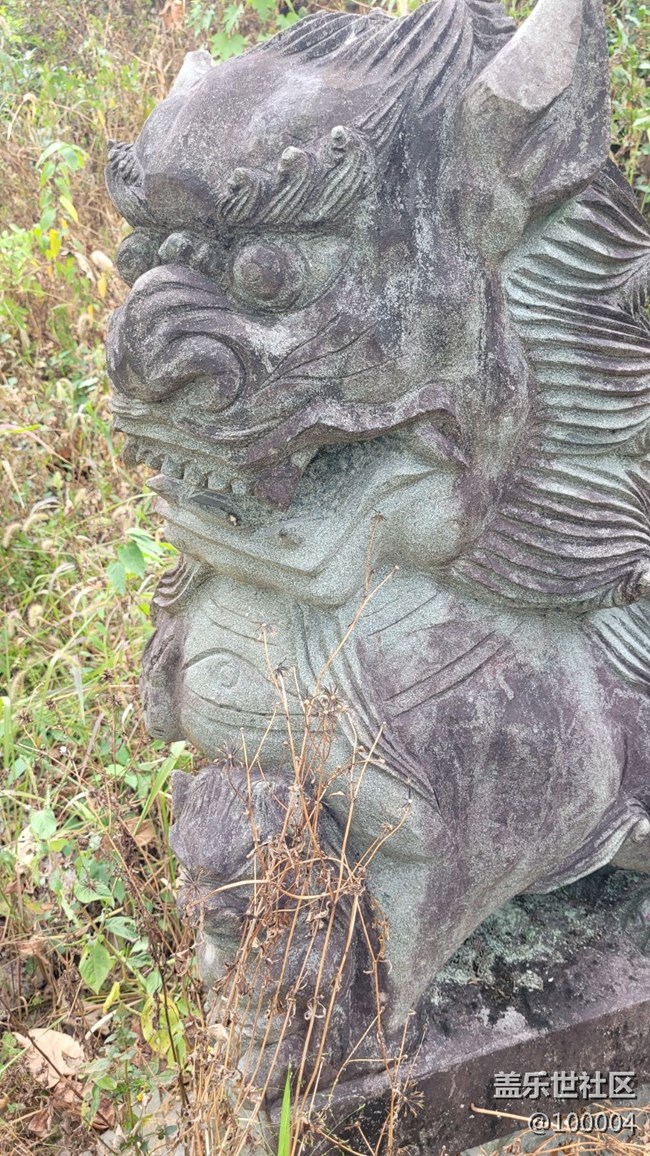 #靜物寫真——可怕