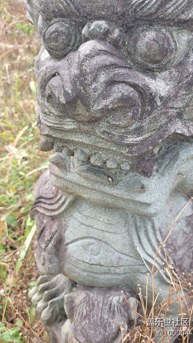 #靜物寫真——可怕