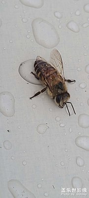 又是下雨天哦。。