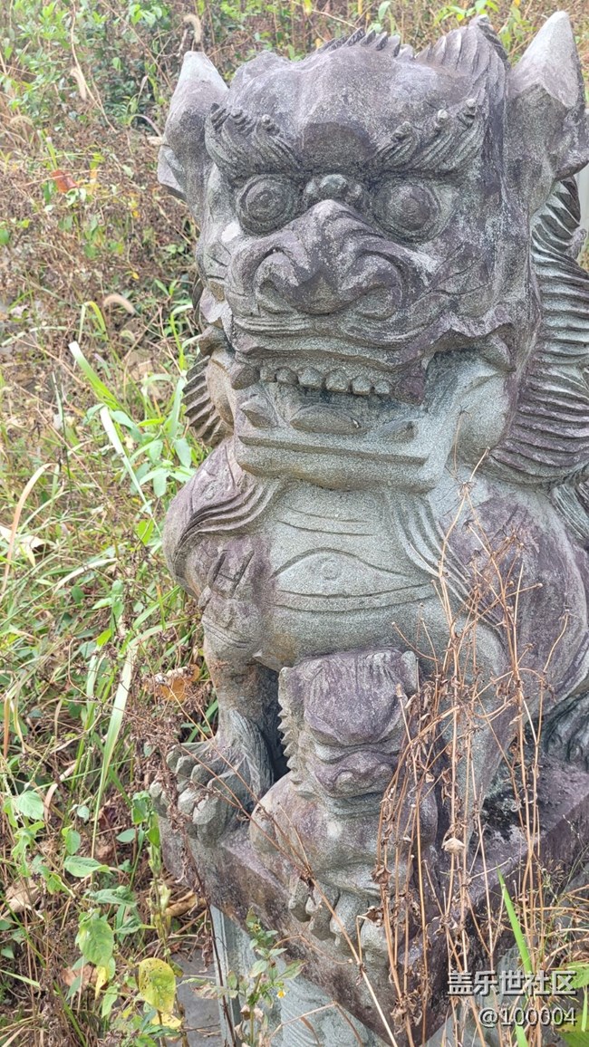 #靜物寫真——可怕