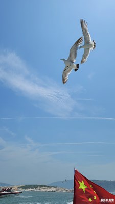 問一聲那海鷗-2